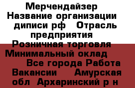 Мерчендайзер › Название организации ­ диписи.рф › Отрасль предприятия ­ Розничная торговля › Минимальный оклад ­ 25 000 - Все города Работа » Вакансии   . Амурская обл.,Архаринский р-н